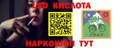 кокс Аргун