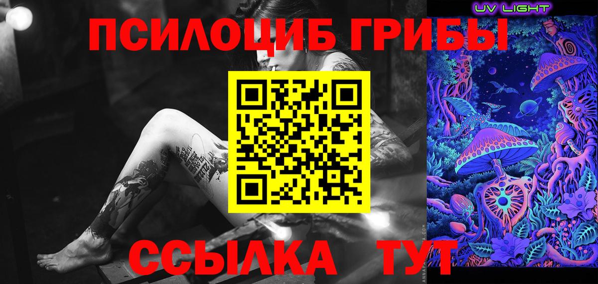 Псилоцибиновые грибы Cubensis  Вход с VPN  Белореченск 